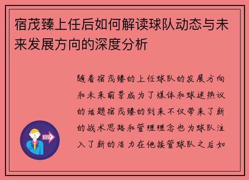 宿茂臻上任后如何解读球队动态与未来发展方向的深度分析