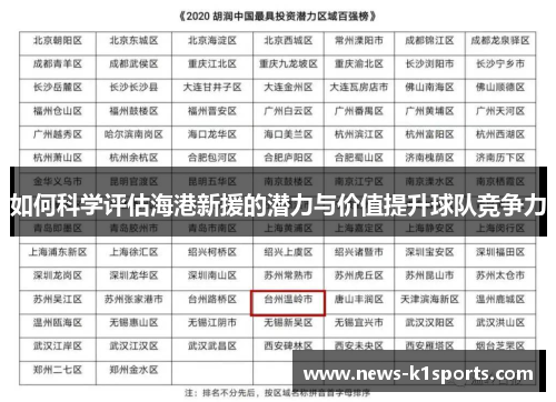 如何科学评估海港新援的潜力与价值提升球队竞争力